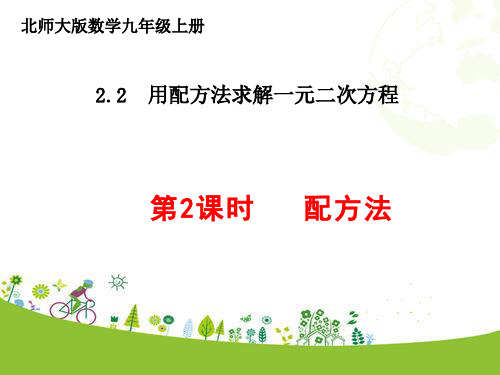 配方法PPT课件(北师大版)