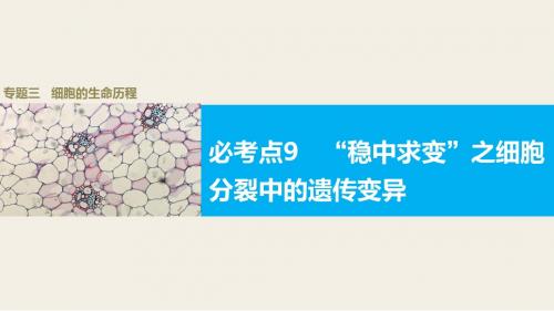 【步步高】2016版高考生物(全国专用)大二轮总复习与增分策略 专题三  必考点 9