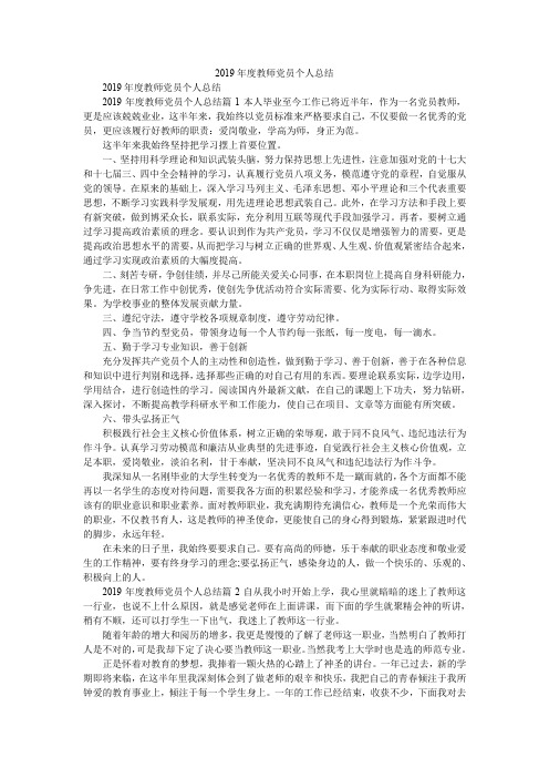 2019年度教师党员个人总结_0