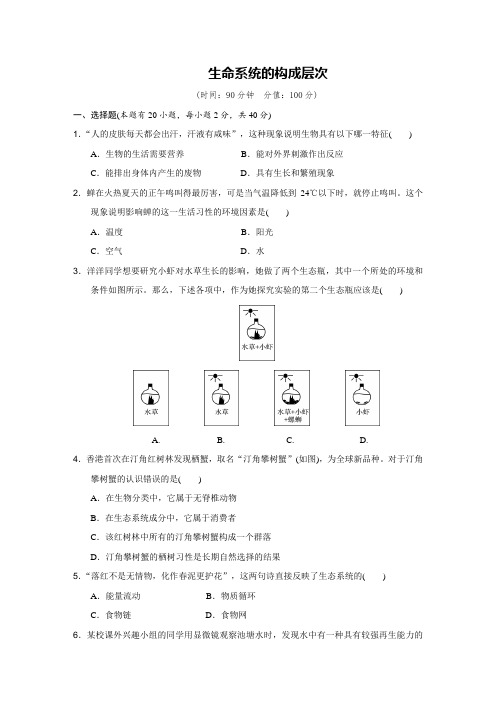 浙教版科学中考单元专题复习 生命系统的构成层次