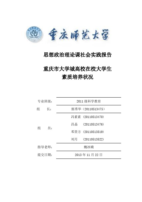 思想政治理论课实践报告作业