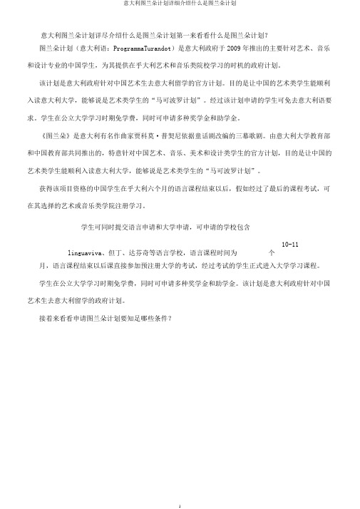意大利图兰朵计划详细介绍什么是图兰朵计划
