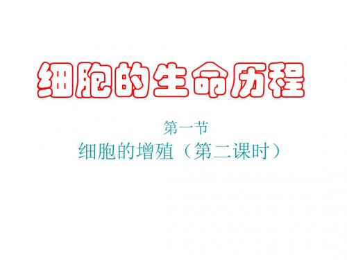 高一生物必修一第六章细胞增殖第二课时课件