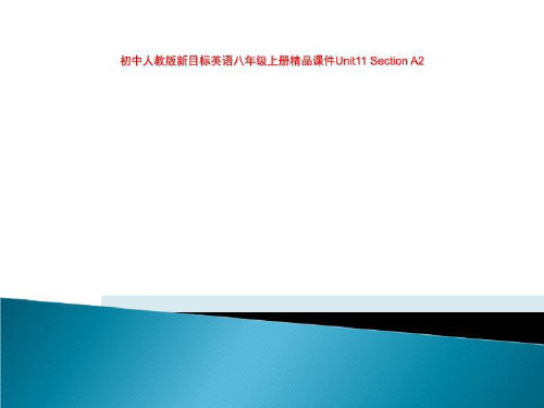 初中人教版新目标英语八年级上册精品课件Unit11 Section A2