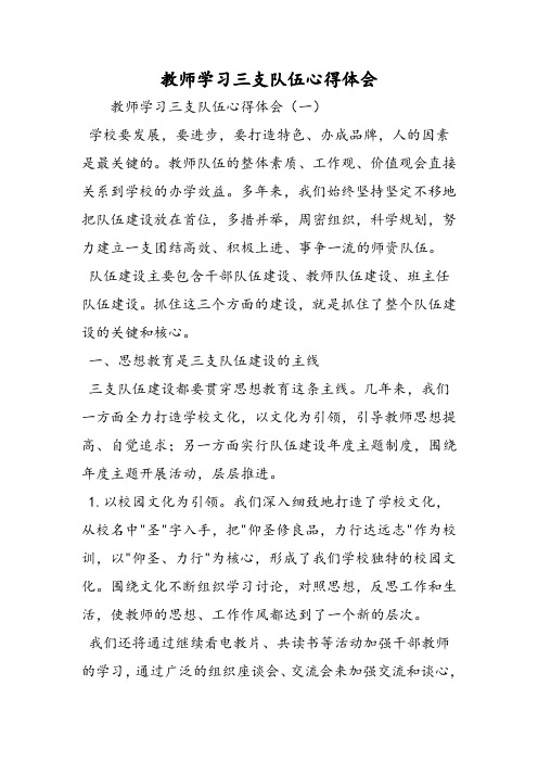 教师学习三支队伍心得体会