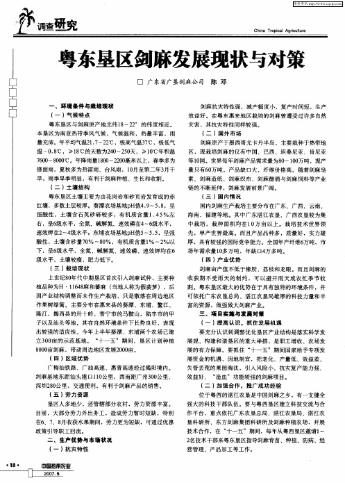 粤东垦区剑麻发展现状与对策