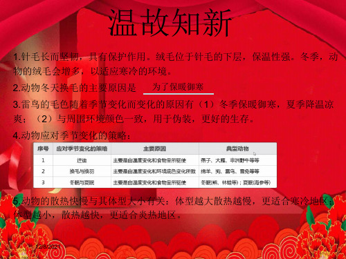 三年级科学 第2单元《动植物对环境的适应》第9课《动物的特殊感官》小学三年级自然科学