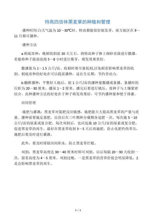 特高四倍体黑麦草的种植和管理