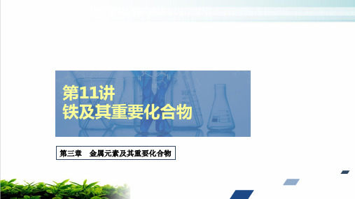 铁及其重要化合物ppt完美课件2021届高考化学创新复习(97页)