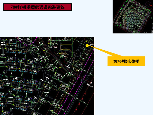 看房通道包装建议 PPT