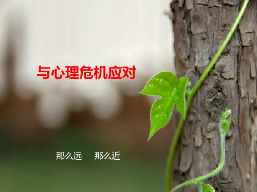 1401大学生生命教育与心理危机应对