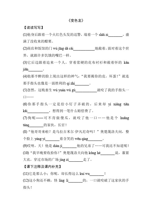 《变色龙》重点词语
