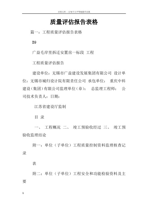 质量评估报告表格