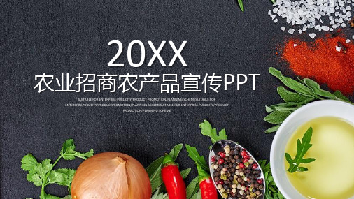 蔬菜农产品PPT模板2