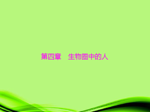 中考生物复习 第四章 生物圈中的人课件 北师大版