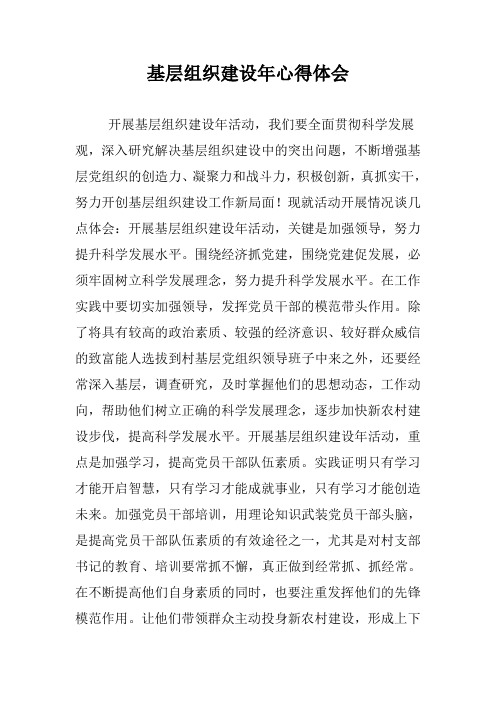 基层组织建设年心得体会6