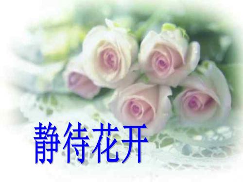 初一24班家长会课件