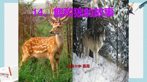 人教六年级语文上册课件：第14课_鹿和狼的故事课件