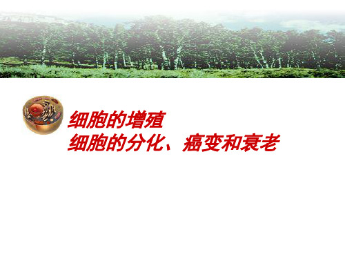 细胞的增殖、细胞的分化、癌变和衰老ppt 人教课标版最新优选公开课件