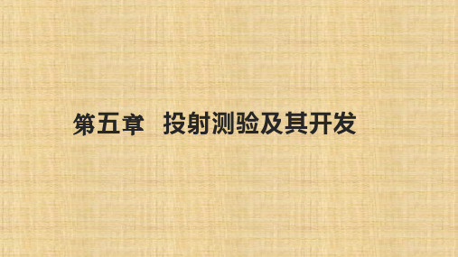 第五章  投射测验及其开发   《人力资源测评》PPT课件
