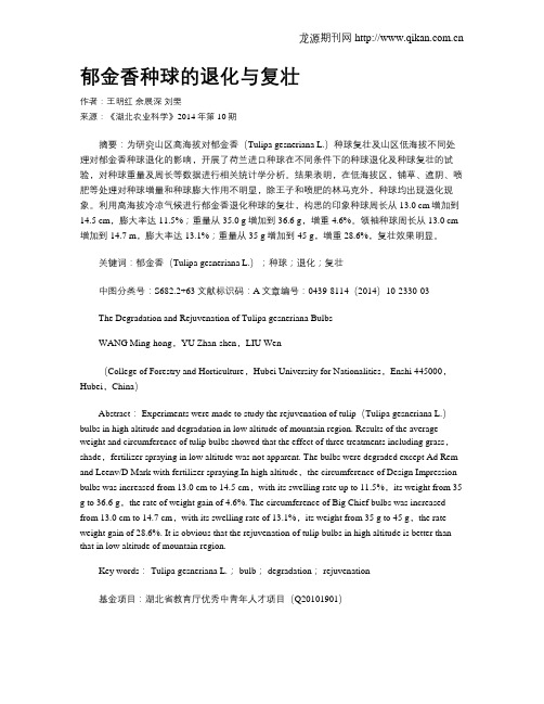 郁金香种球的退化与复壮