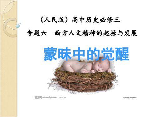 蒙昧中的觉醒ppt11(说课)