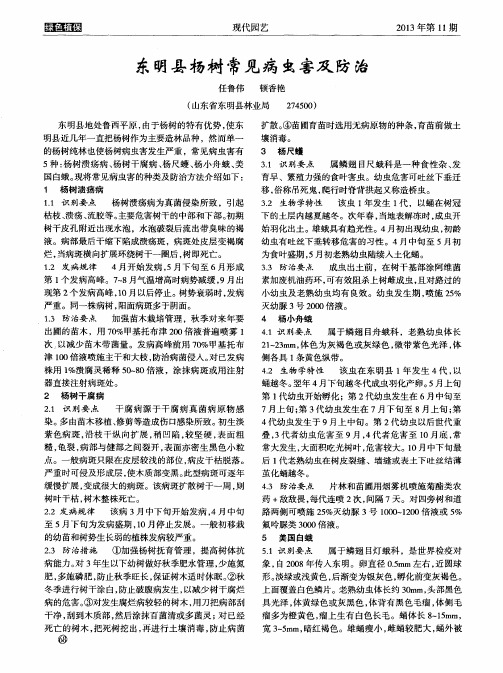 东明县杨树常见病虫害及防治