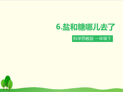 苏教版科学《盐和糖哪儿去了》优质课件1