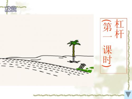 华师大九年级科学上册杠杆