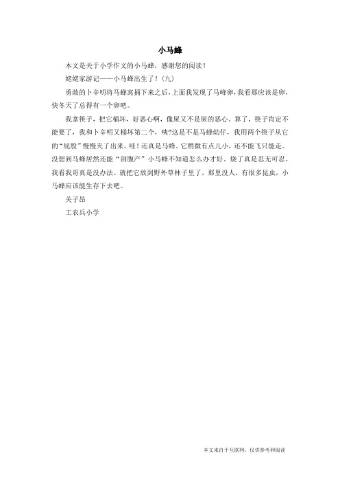 小马蜂_小学作文