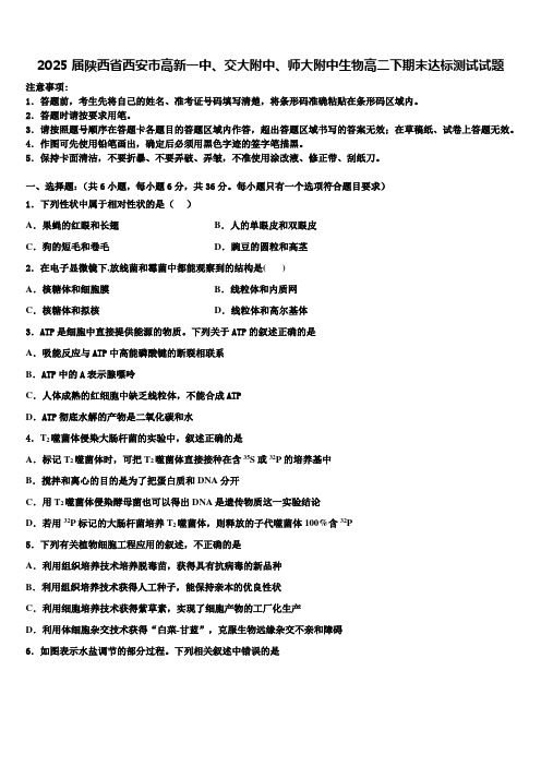 2025届陕西省西安市高新一中、交大附中、师大附中生物高二下期末达标测试试题含解析