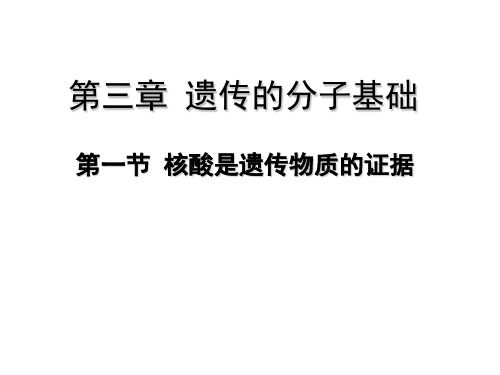 31核酸是遗传物质的证据-1-浙江省温州人文高级中学高中生物浙教版必修2课件(共16张PPT)