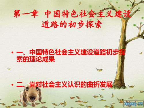 中国特色社会主义建设道路的初步探索