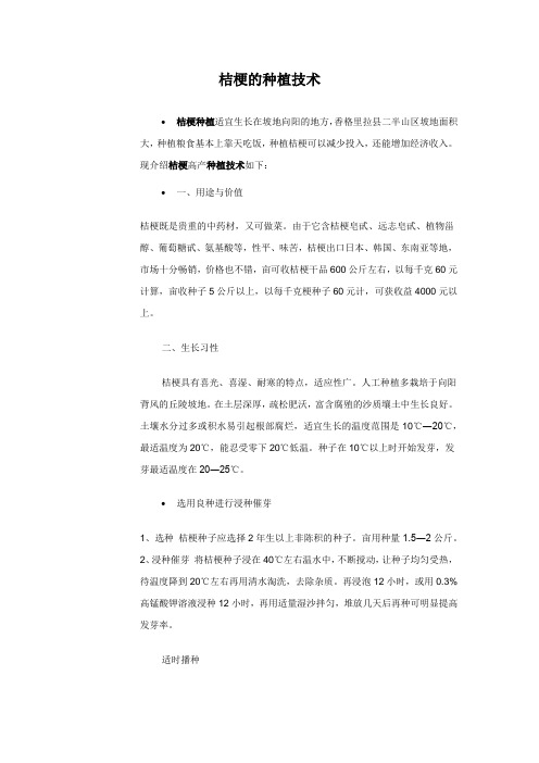 桔梗种植技术