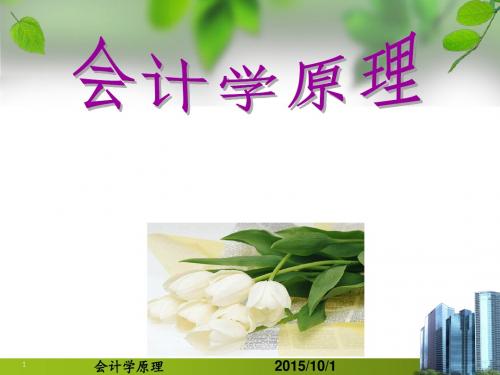 会计学原理第1章总论