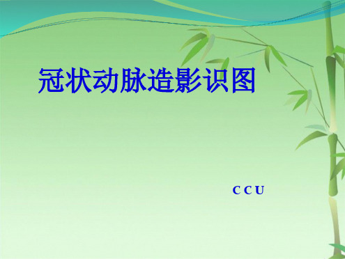 冠状动脉造影识图CCU(共60张PPT)