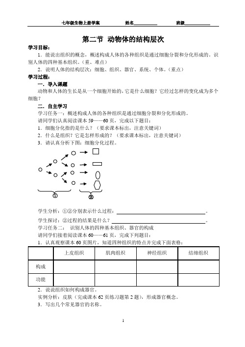 2.2.2 动物体的结构层次