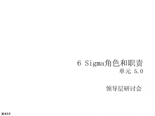 6 Sigma领导层研讨会 - 角色和职责