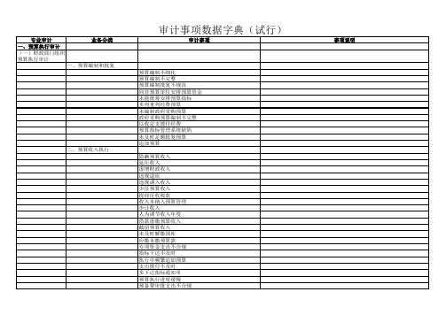 审计事项数据字典