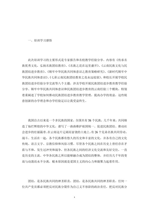 学习《新疆维吾尔自治区民族团结进步工作条例》心得体会(最新)