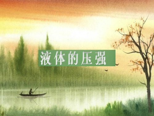 物理八年级下册：10.2《液体的压强》ppt课件(2)