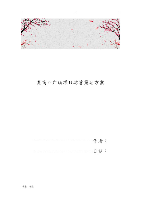 黑龙江某商业广场项目运营策划实施方案