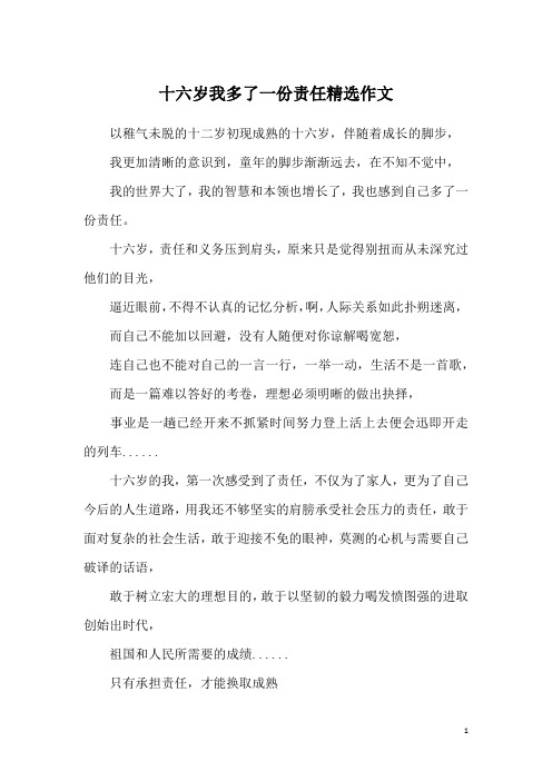十六岁我多了一份责任精选作文