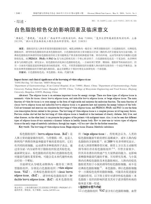 白色脂肪棕色化的影响因素及临床意义