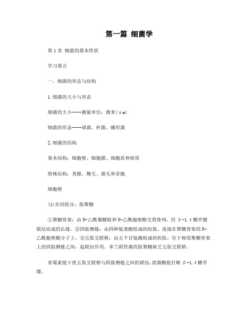 第1章细菌的基本形状