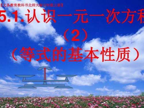 北师大版数学七上5.1.2《等式的基本性质》 课件 (共45张PPT)