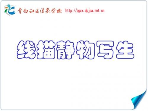 2.线描写生