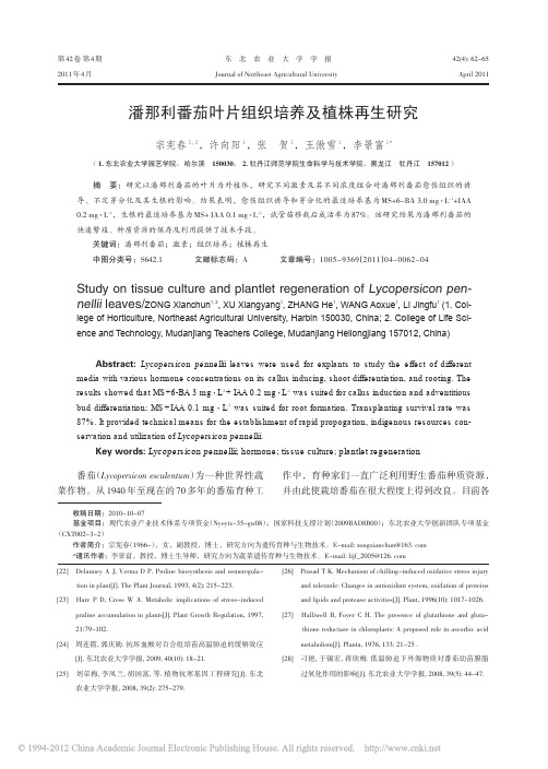 潘那利番茄叶片组织培养及植株再生研究