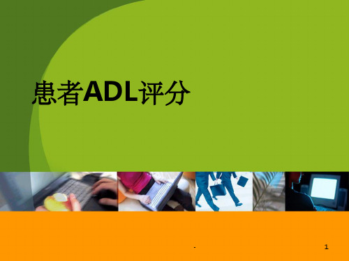 病情评估及ADL评分 ppt