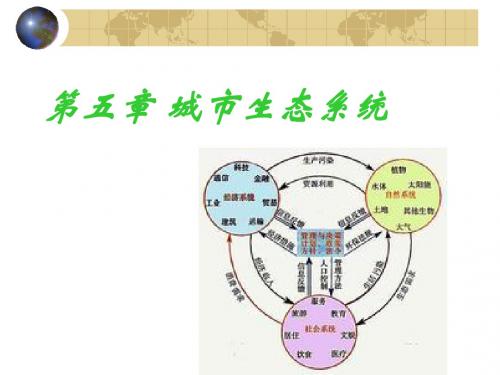 城乡社会学第五章